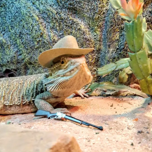 REPTILIAN (feat. Jaetwin) cover artwork